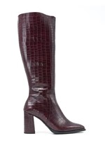 WONDERS M-5432 AUSTRAL