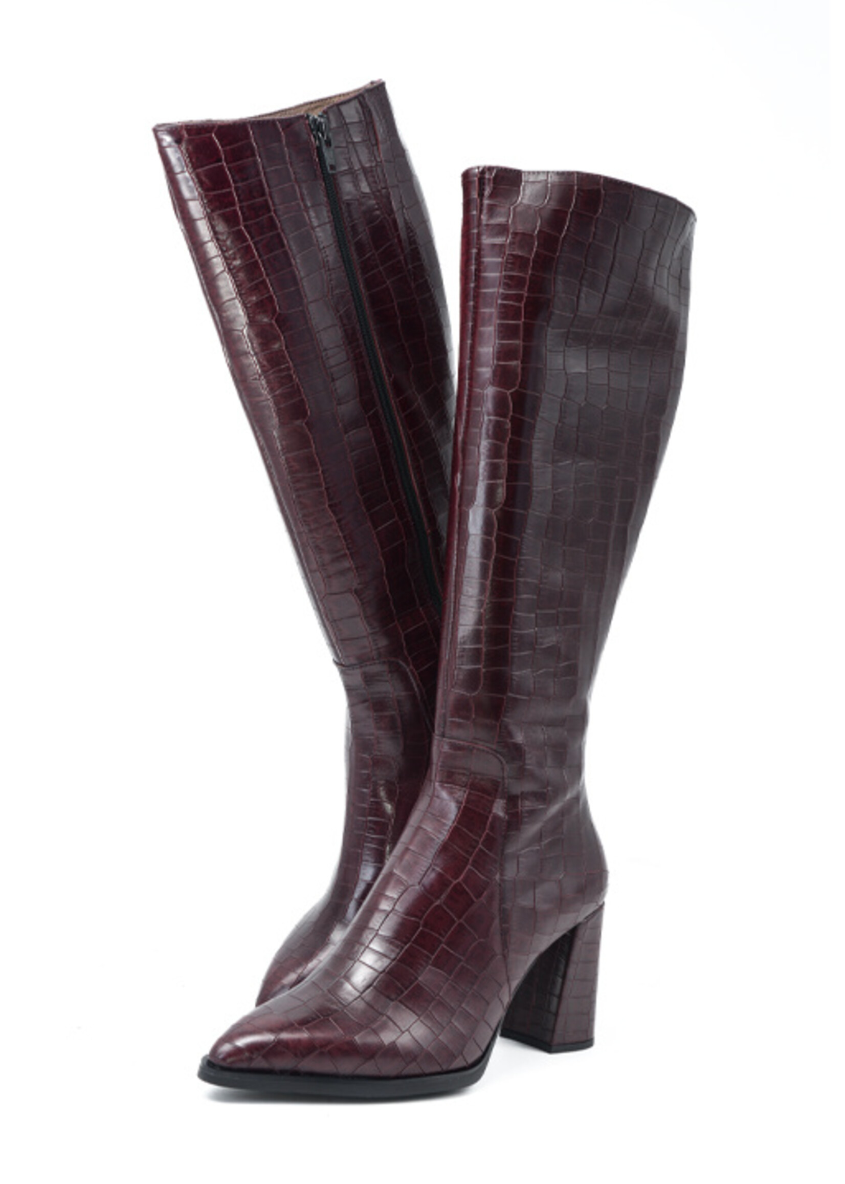 WONDERS M-5432 AUSTRAL