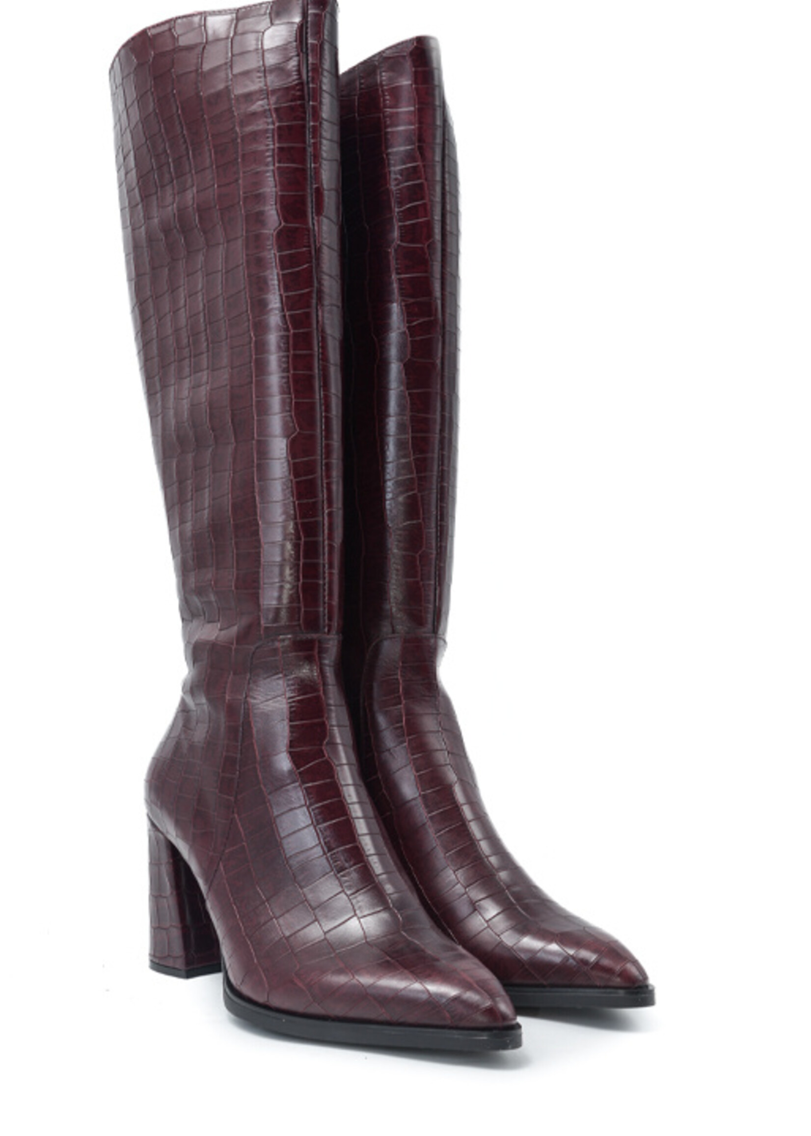 WONDERS M-5432 AUSTRAL