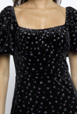 Storia "Smooth as Velvet" Mini Dress