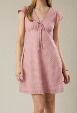 Gilli "At First Blush" Mini Dress