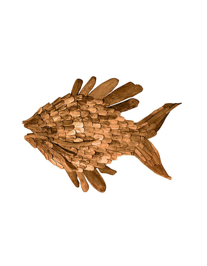 Large Driftwood Angel Fish Coastal Decor Wall Art Squan