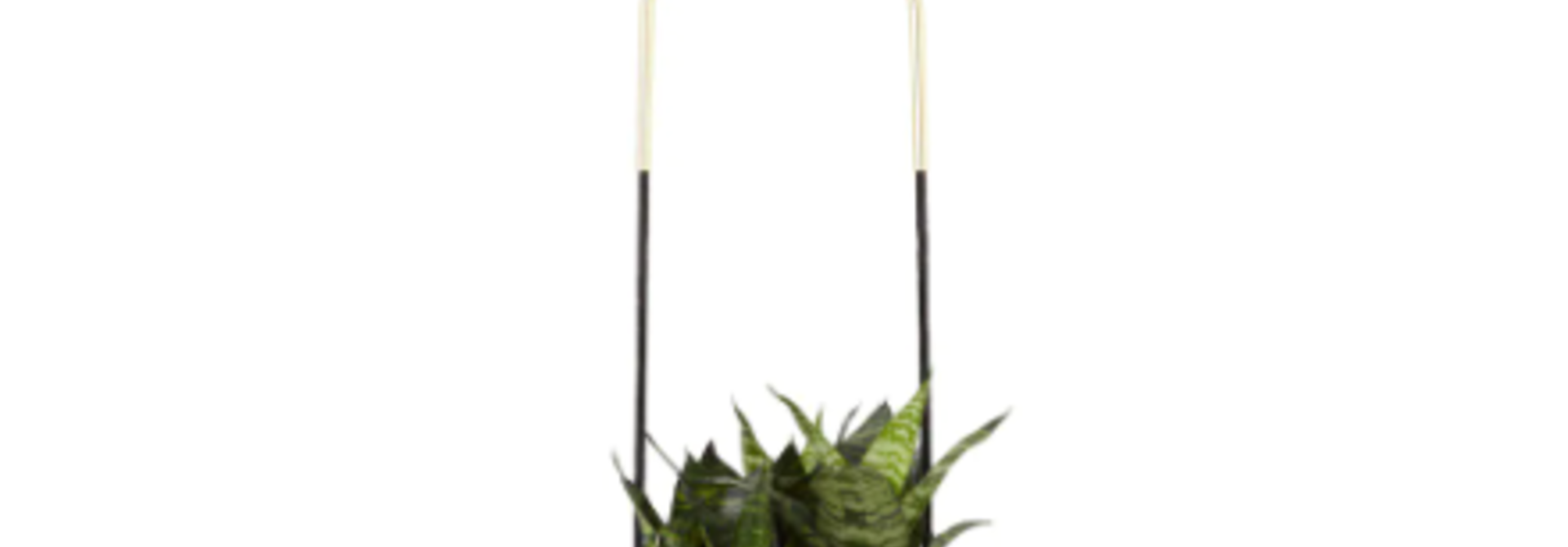 Bolo Planter