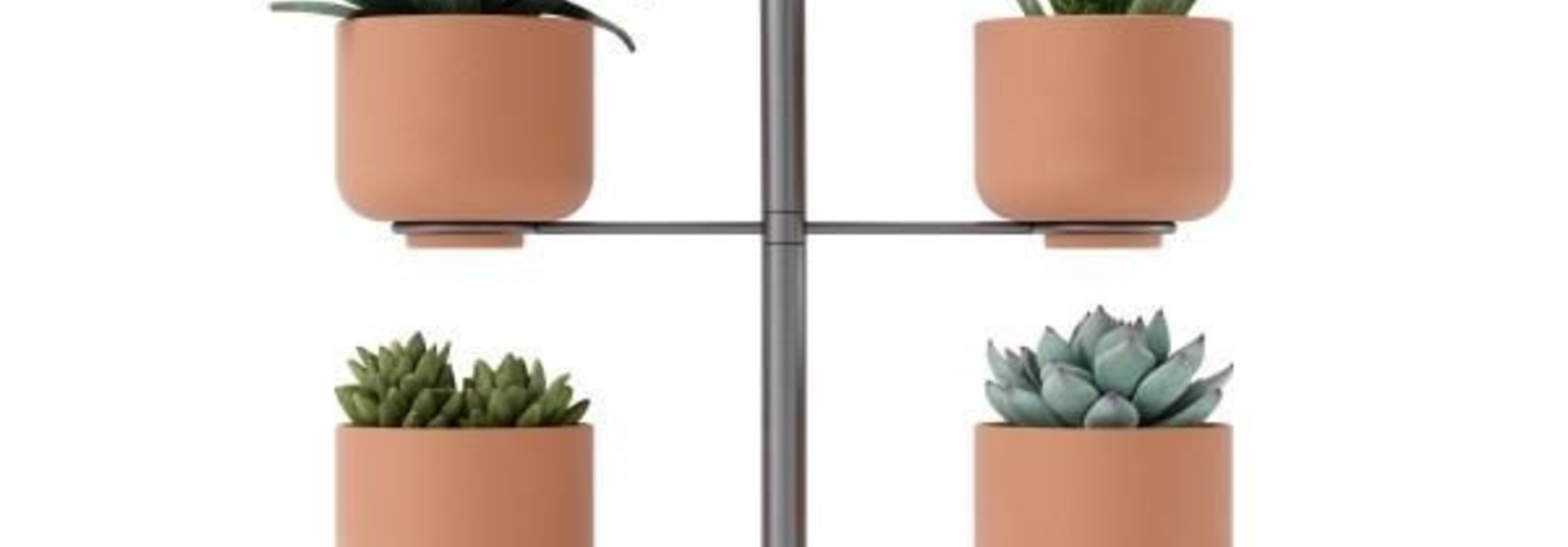 Terrapotta