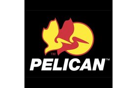 Pelican