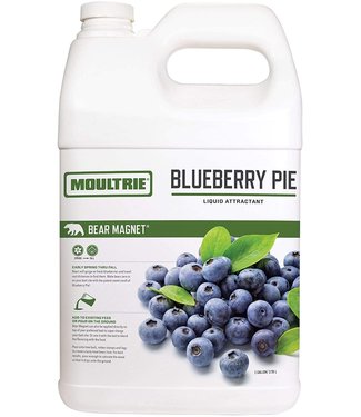 MOULTRIE BLUEBERRY PIE