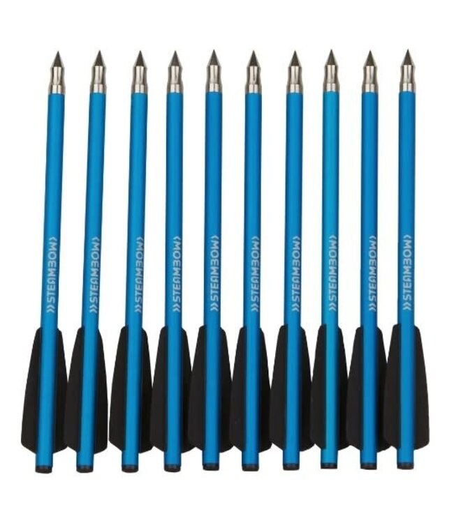 Steambow AR-6 Crossbow Target Arrows (10 PCS)