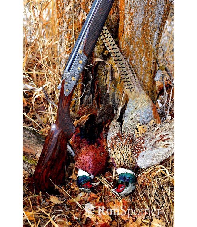 CAESAR GUERINI REVENANT FIELD 20GA 28"BBL