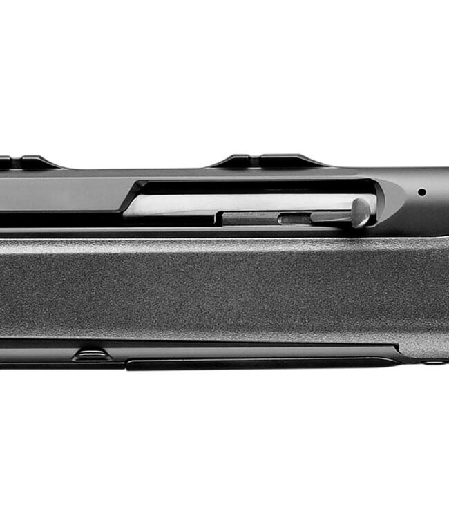 Sauer 303 Style-Classic XT, 308 Win, 20" BBL, Semi-Auto