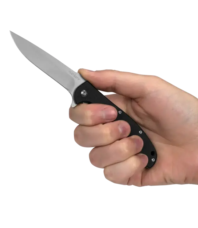 KERSHAW CHILL (3410)