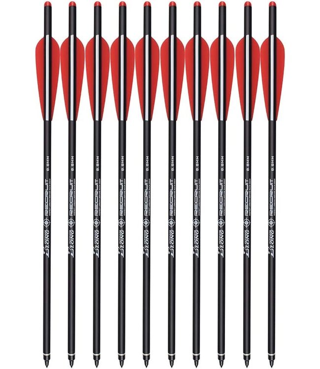 Carbon Crossbow Bolts 18" Hunting Archery Arrows with 4" Vanes Replaced Arrowhead Tip (Pack of 12)