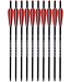 Carbon Crossbow Bolts 18" Hunting Archery Arrows with 4" Vanes Replaced Arrowhead Tip (Pack of 12)