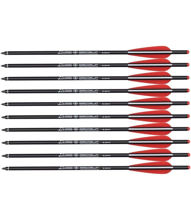 Carbon Crossbow Bolts 20" Hunting Archery Arrows with 4" Vanes Replaced Arrowhead Tip (Pack of 12)