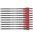 Carbon Crossbow Bolts 20" Hunting Archery Arrows with 4" Vanes Replaced Arrowhead Tip (Pack of 12)