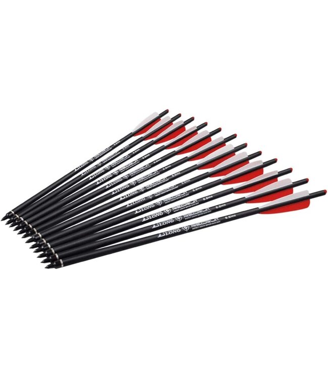 Carbon Crossbow Bolts 20" Hunting Archery Arrows with 4" Vanes Replaced Arrowhead Tip (Pack of 12)