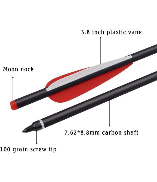 Carbon Crossbow Bolts 20" Hunting Archery Arrows with 4" Vanes Replaced Arrowhead Tip (Pack of 12)