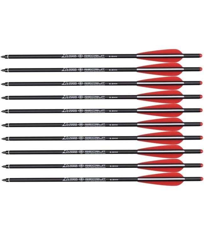 Carbon Crossbow Bolts 22" Hunting Archery Arrows with 4" Vanes Replaced Arrowhead Tip (Pack of 12)