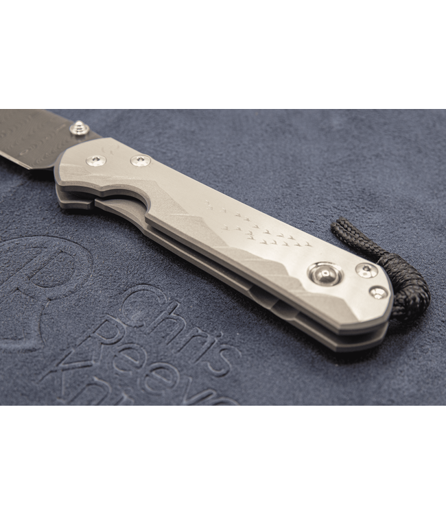 Chris Reeve Large Sebenza 21 Unique Pyrite/Ladder Damascus