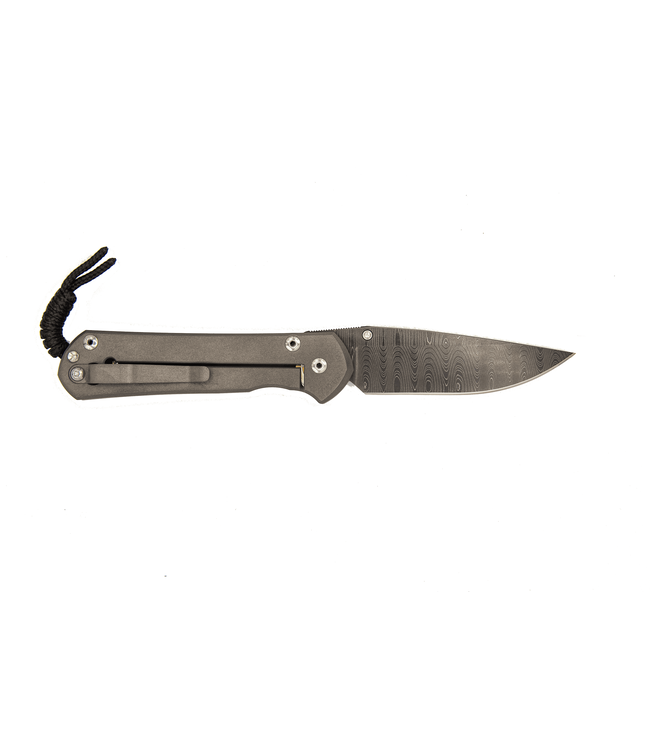 Chris Reeve Large Sebenza 21 Unique Pyrite/Ladder Damascus