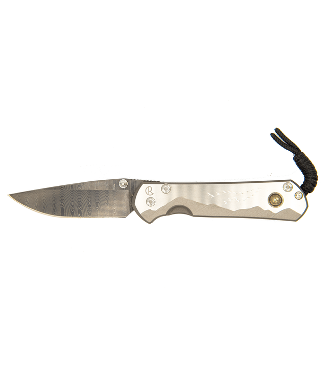 Chris Reeve Large Sebenza 21 Unique Pyrite/Ladder Damascus