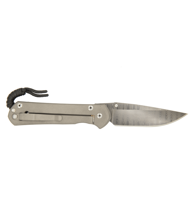 Chris Reeve Large Sebenza 21 Unique Blue Star Sapphire/Ladder Damascus