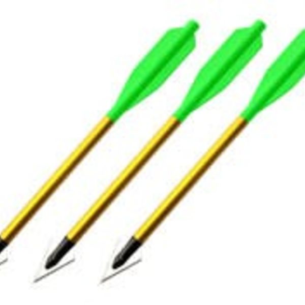 BOLT Crossbow BOLT Crossbows Broadhead Hunting Bolts Solely Outdoors Inc.