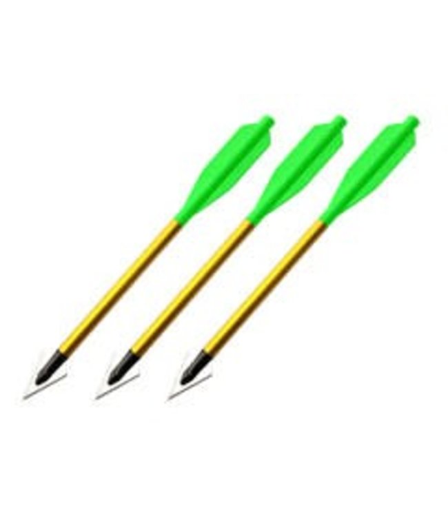 BOLT Crossbows Broadhead Hunting Bolts