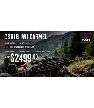 IWI PRE-ORDER: IWI Carmel Semi-Auto 5.56 NATO 18.6″ Folding Stock