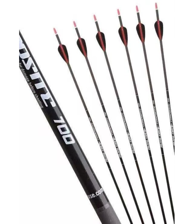 Avalon FULL Carbon Arrows  6/pack