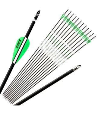 CUPID Archery arrows 6/pack