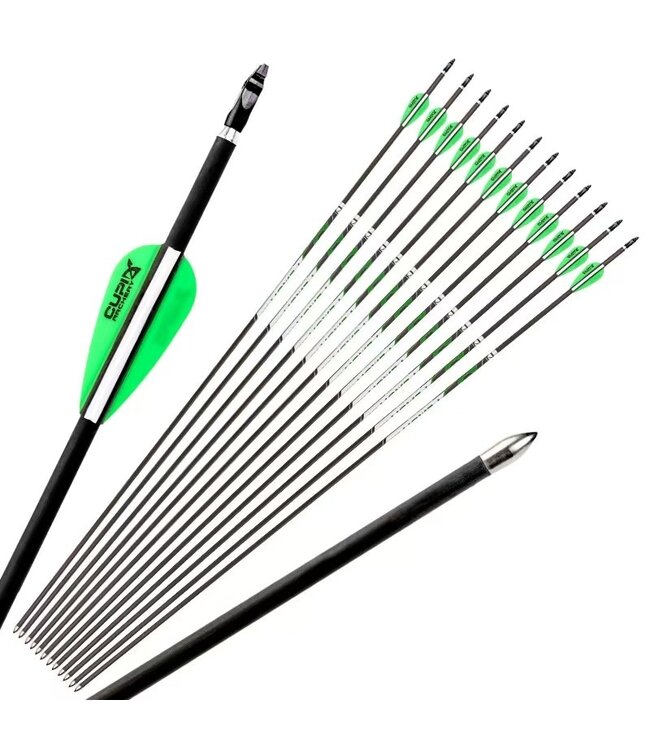 CUPID Archery arrows 6/pack