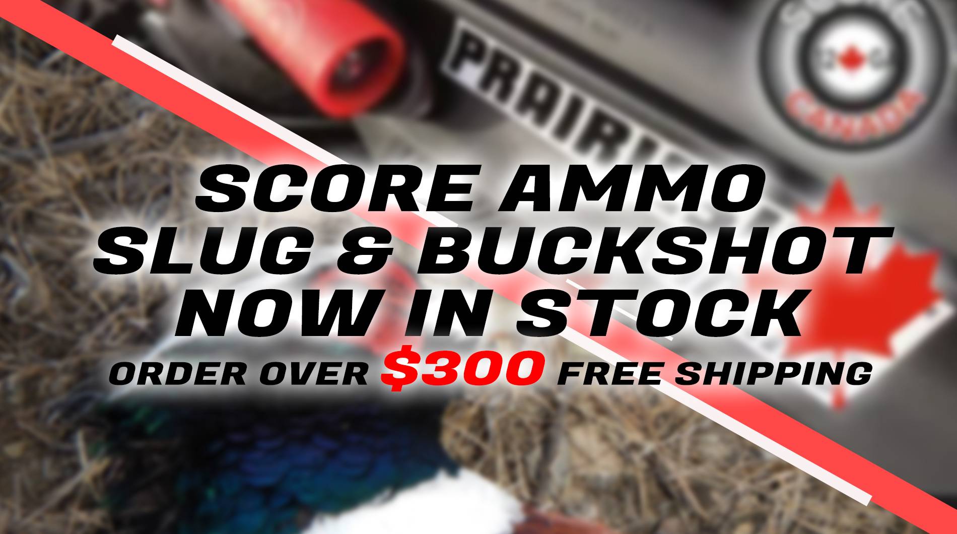 Solely Outdoors Solely Outdoors Inc.