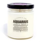 Whiskey River Soap Company - Astrology Candle Aquarius