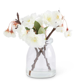 6.5 Inch Cream Cherry Blossom in Glass Jar