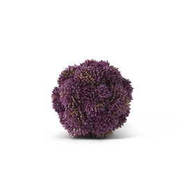 4 Inch Purple Sedum Ball