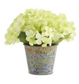 7 Inch Green Hydrangea in Tin Pot