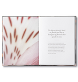 Compendium No Ordinary Days