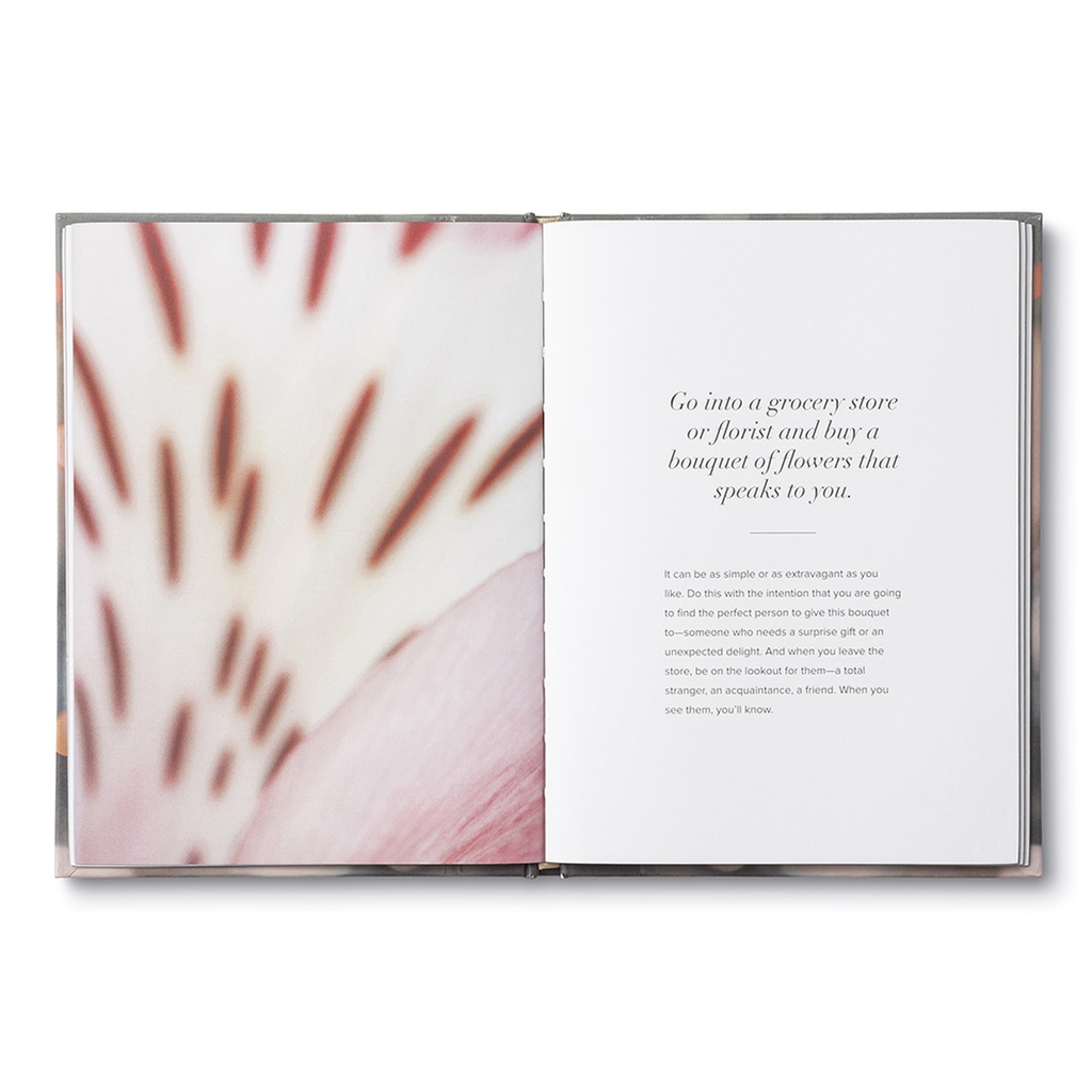 Compendium No Ordinary Days