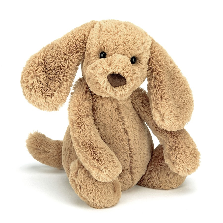 Jellycat Bashful Toffee Puppy