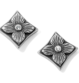 Brighton - Toledo Collective Mini Post