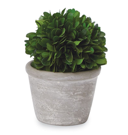 Mud Pie Boxwood Ball in Pot