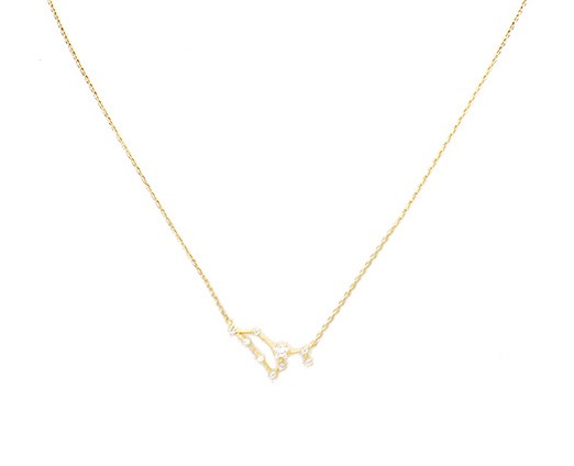 Initial Reaction Constellation Necklace - Leo/Gold