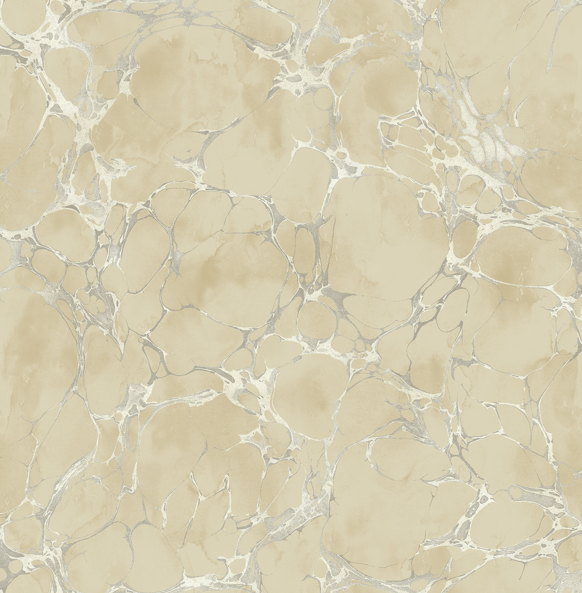 Patina Marble Cappys Paint and Wallpaper