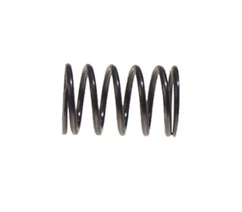 91-UP 295 CC VALVE SPRING 4CYC    (NLA)