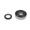 06-UP CLUB CAR DS PRECEDENT IQ MOTOR BEARING AND MAGNET KIT