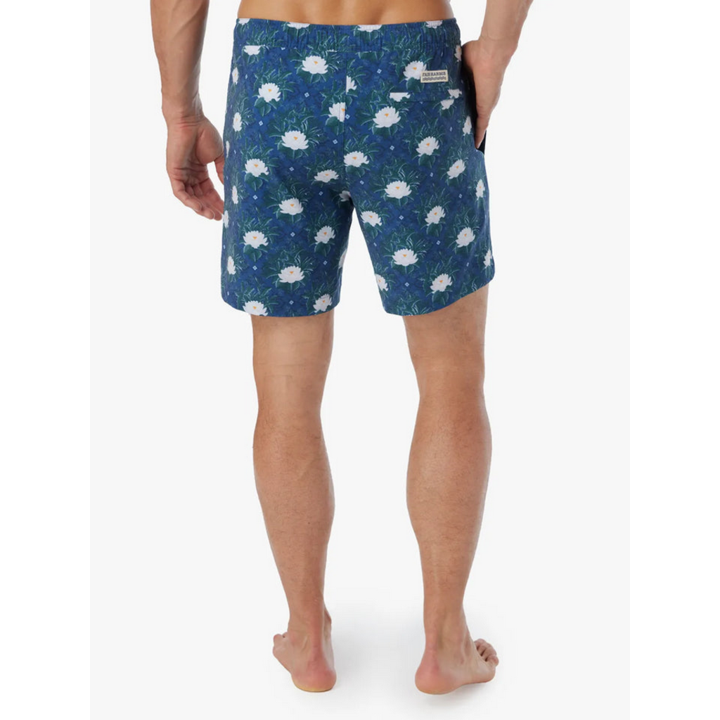 FAIR HARBOR Fair Harbor Bayberry Trunk