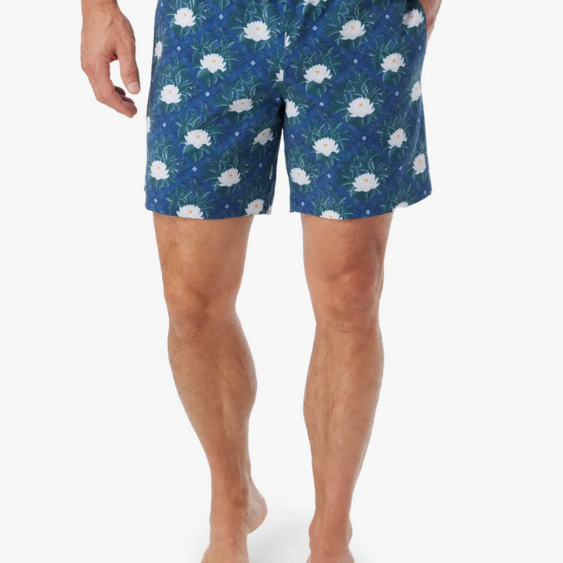 FAIR HARBOR Fair Harbor Bayberry Trunk