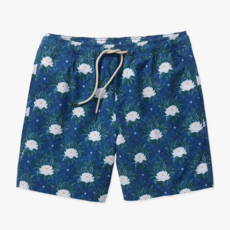 FAIR HARBOR Fair Harbor Bayberry Trunk