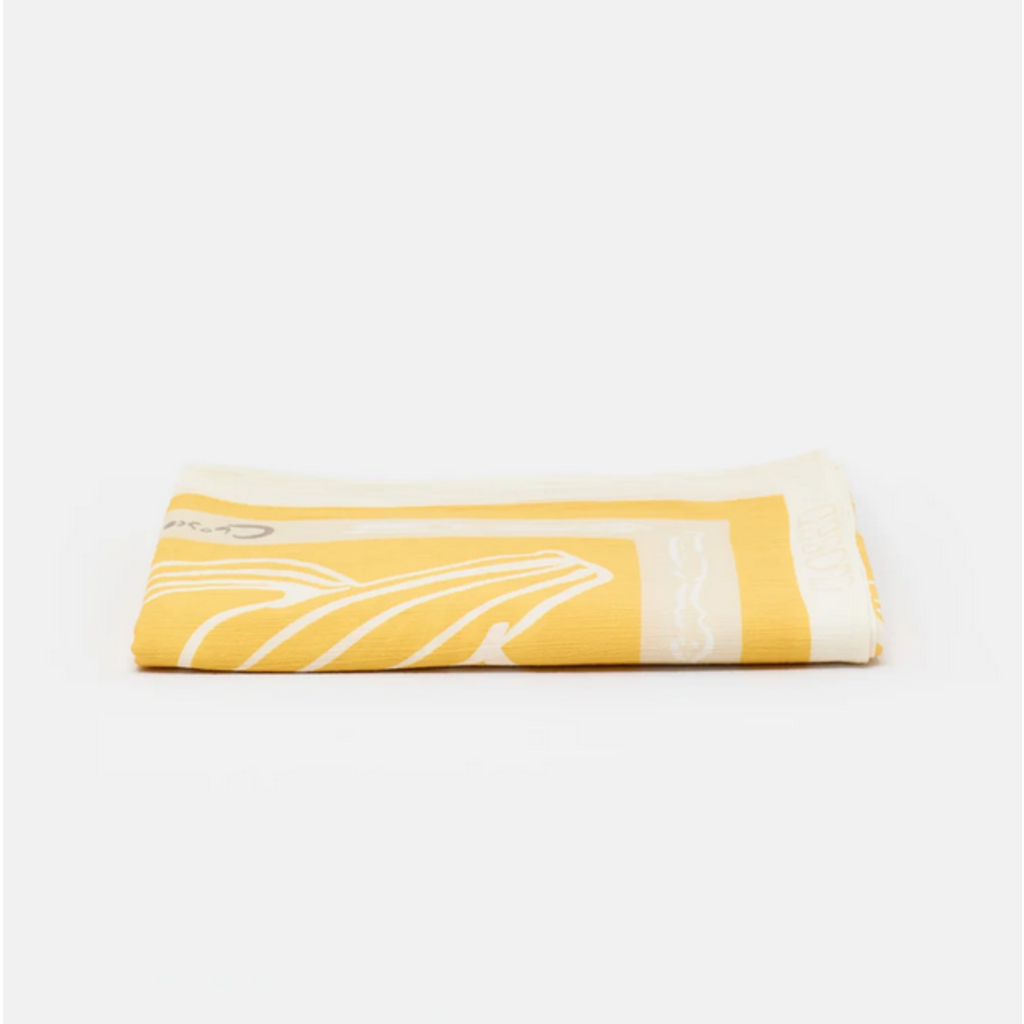CLOSED Scarf