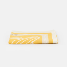 CLOSED Scarf